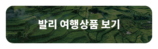 이오스여행사 발리 여행 이래서 좋아요 !